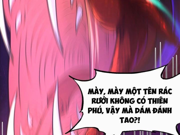 Tối Cường Tinh Thú Sư Chapter 1 - Trang 2
