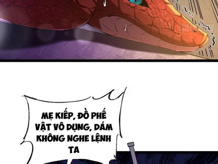 Tối Cường Tinh Thú Sư Chapter 1 - Trang 2