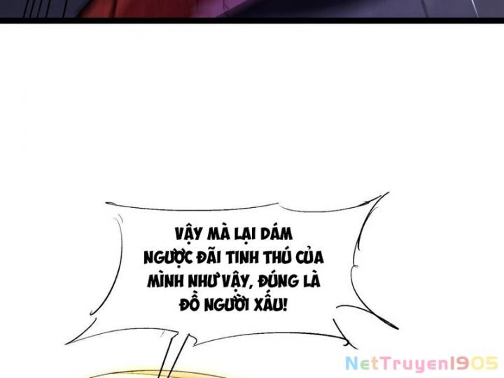 Tối Cường Tinh Thú Sư Chapter 1 - Trang 2