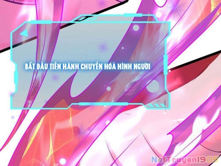 Tối Cường Tinh Thú Sư Chapter 1 - Trang 2