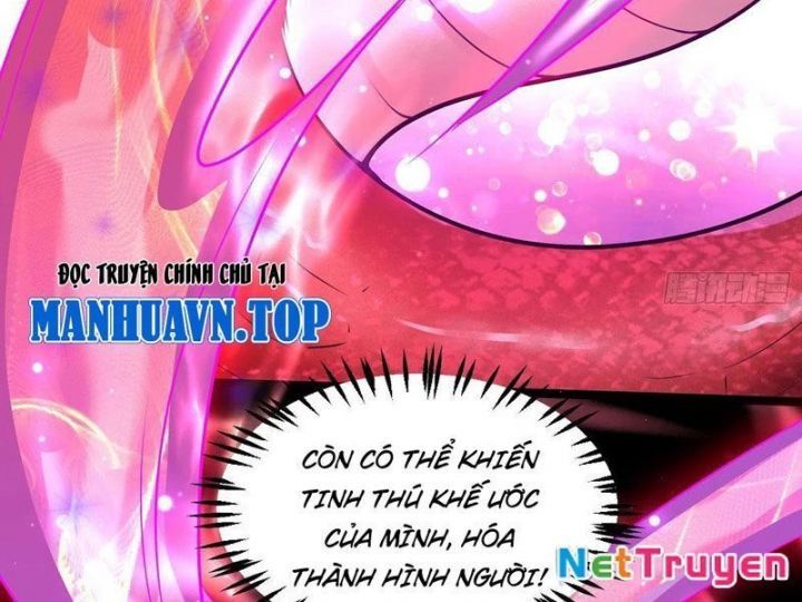 Tối Cường Tinh Thú Sư Chapter 1 - Trang 2