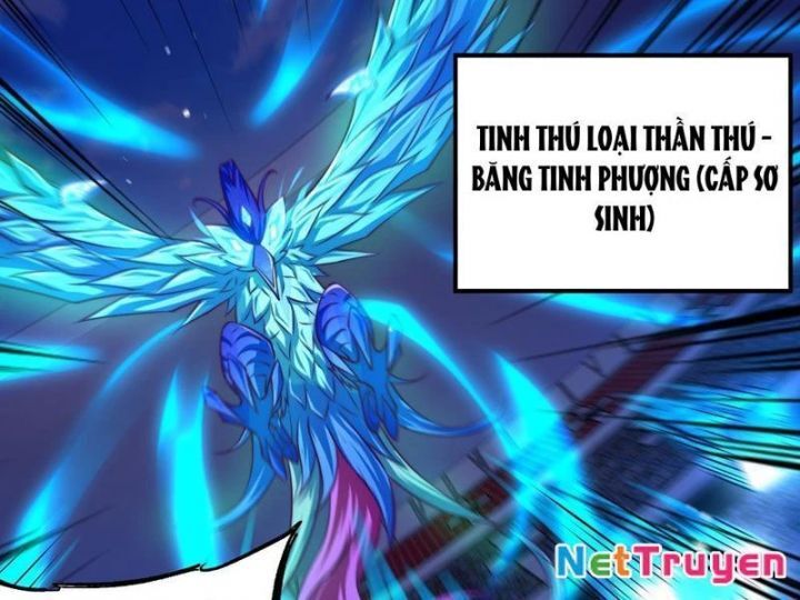 Tối Cường Tinh Thú Sư Chapter 2 - Trang 2