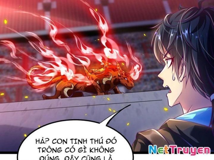 Tối Cường Tinh Thú Sư Chapter 2 - Trang 2