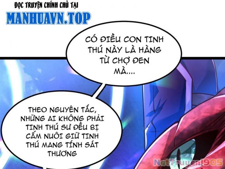 Tối Cường Tinh Thú Sư Chapter 2 - Trang 2