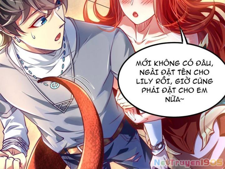 Tối Cường Tinh Thú Sư Chapter 2 - Trang 2