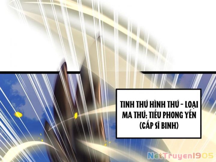 Tối Cường Tinh Thú Sư Chapter 2 - Trang 2