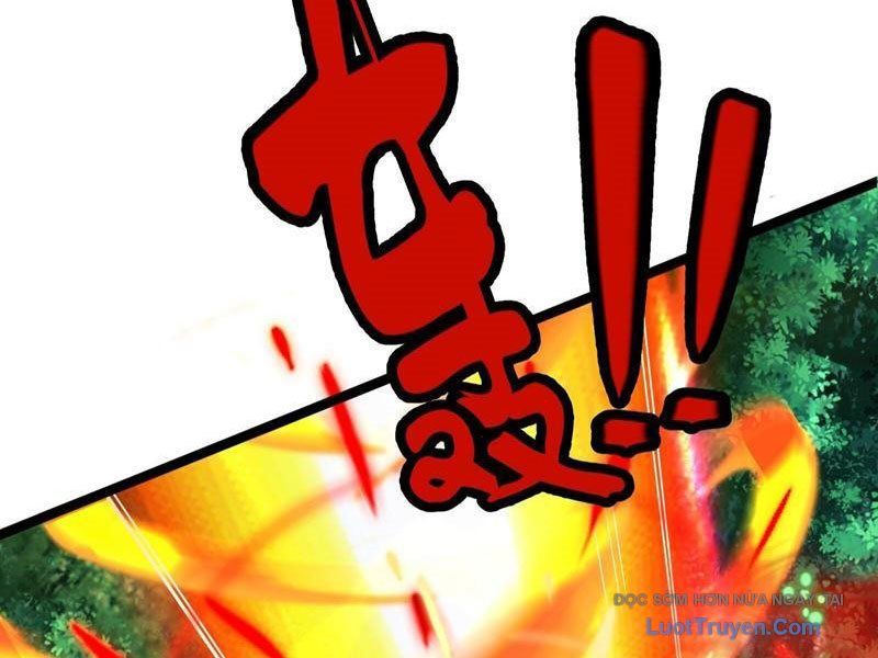 Tối Cường Tinh Thú Sư Chapter 29 - Trang 2