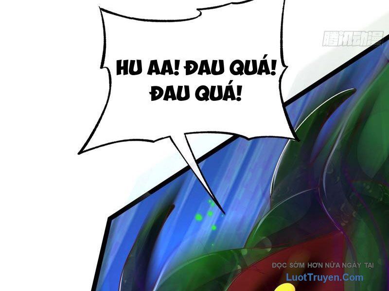 Tối Cường Tinh Thú Sư Chapter 29 - Trang 2