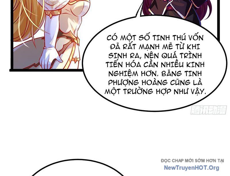 Tối Cường Tinh Thú Sư Chapter 3 - Trang 2