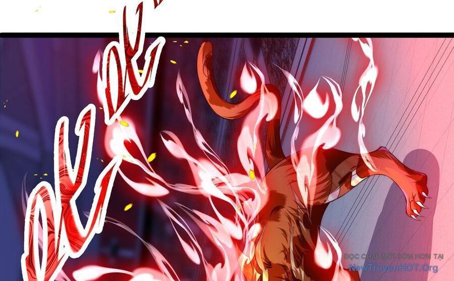 Tối Cường Tinh Thú Sư Chapter 3 - Trang 2