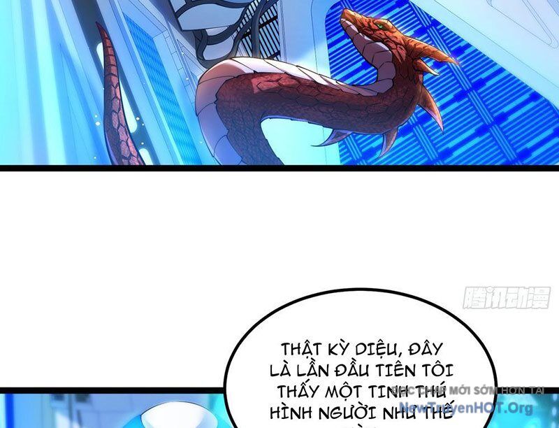 Tối Cường Tinh Thú Sư Chapter 3 - Trang 2
