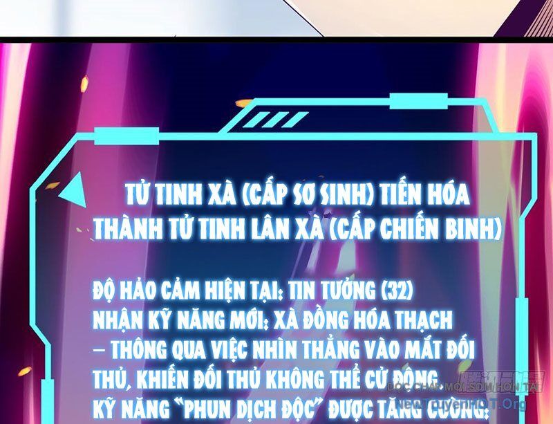 Tối Cường Tinh Thú Sư Chapter 3 - Trang 2