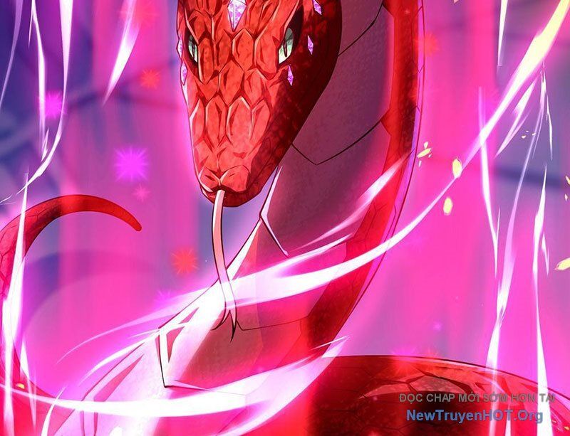 Tối Cường Tinh Thú Sư Chapter 3 - Trang 2
