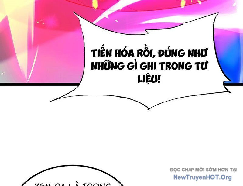 Tối Cường Tinh Thú Sư Chapter 3 - Trang 2