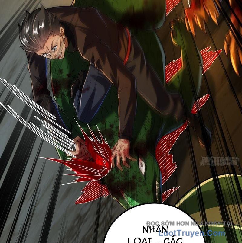 Tối Cường Tinh Thú Sư Chapter 31 - Trang 2