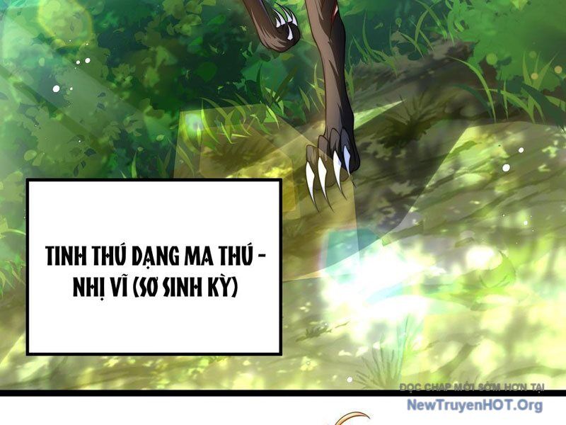 Tối Cường Tinh Thú Sư Chapter 4 - Trang 2