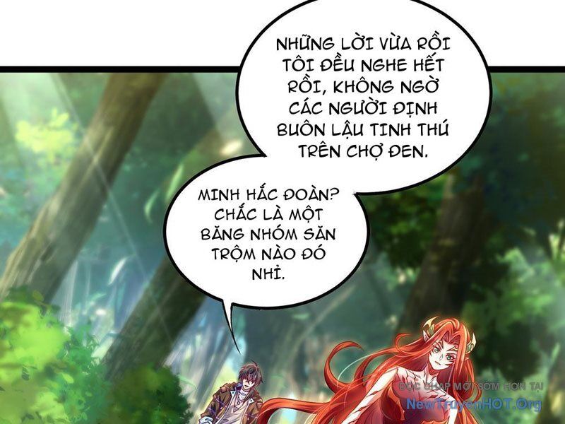 Tối Cường Tinh Thú Sư Chapter 4 - Trang 2