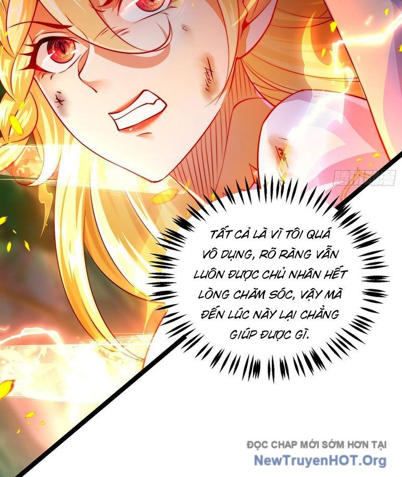 Tối Cường Tinh Thú Sư Chapter 5 - Trang 2