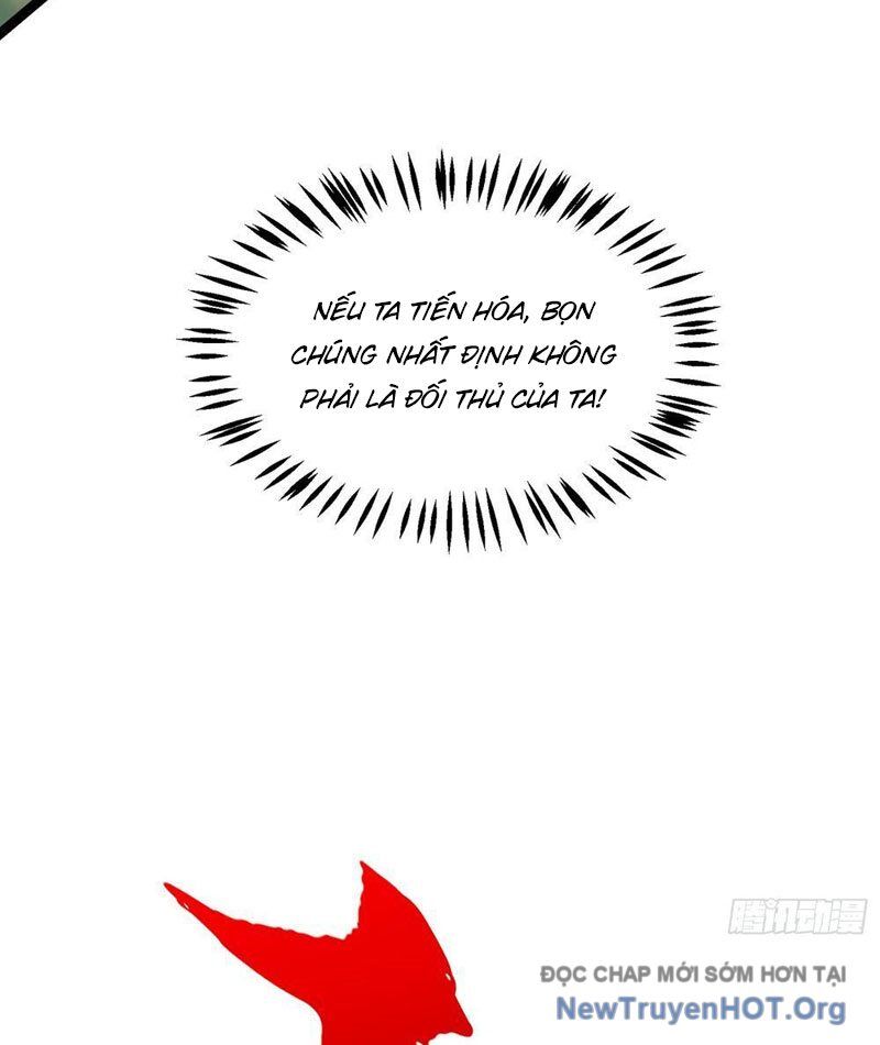 Tối Cường Tinh Thú Sư Chapter 5 - Trang 2