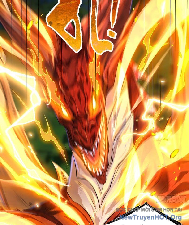 Tối Cường Tinh Thú Sư Chapter 5 - Trang 2