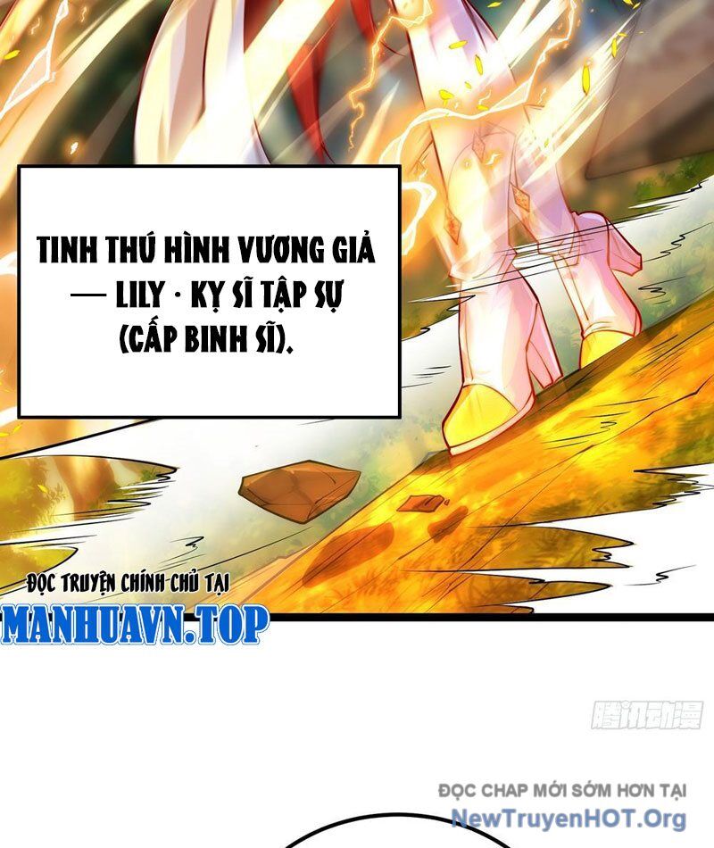 Tối Cường Tinh Thú Sư Chapter 5 - Trang 2