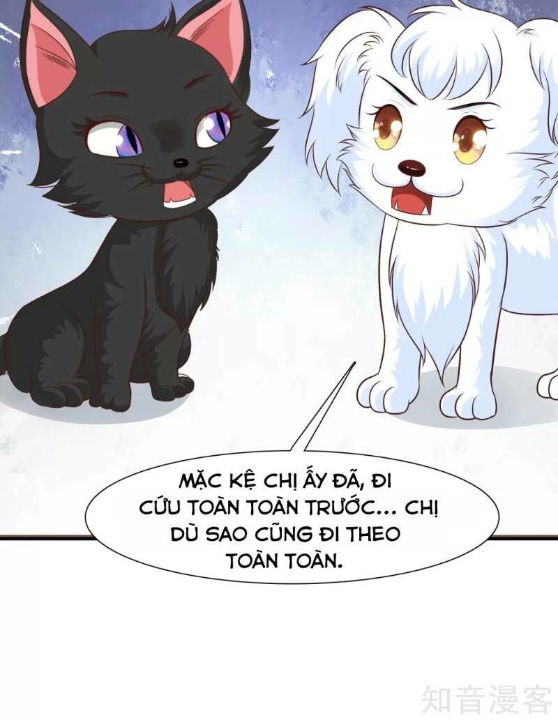 Tối Cường Vận Đào Hoa Chapter 80 - Trang 2