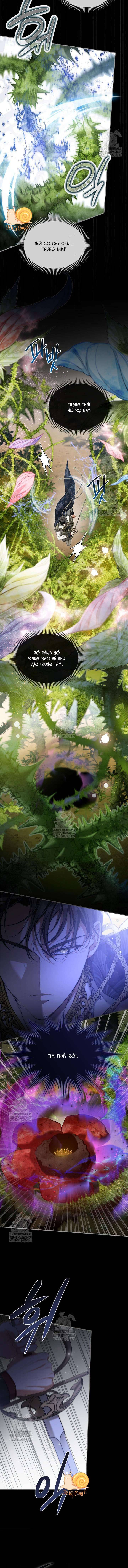 Tôi Đã Đính Hôn Với Vị Công Tước Mù Chapter 13 - Trang 2