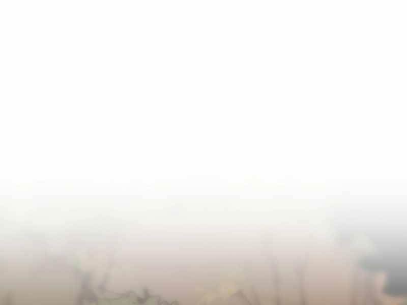 Tôi Đã Giết Tuyển Thủ Học Viện Chapter 32.5 - Trang 2