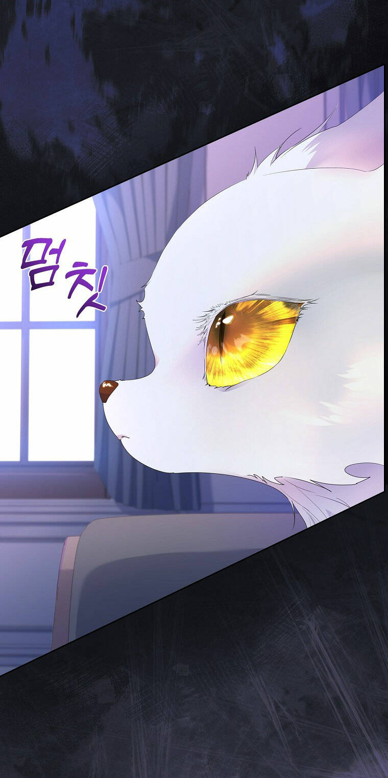 Tôi Đã Nuôi Hồ Ly Sai Cách Rồi Chapter 11.1 - Trang 2