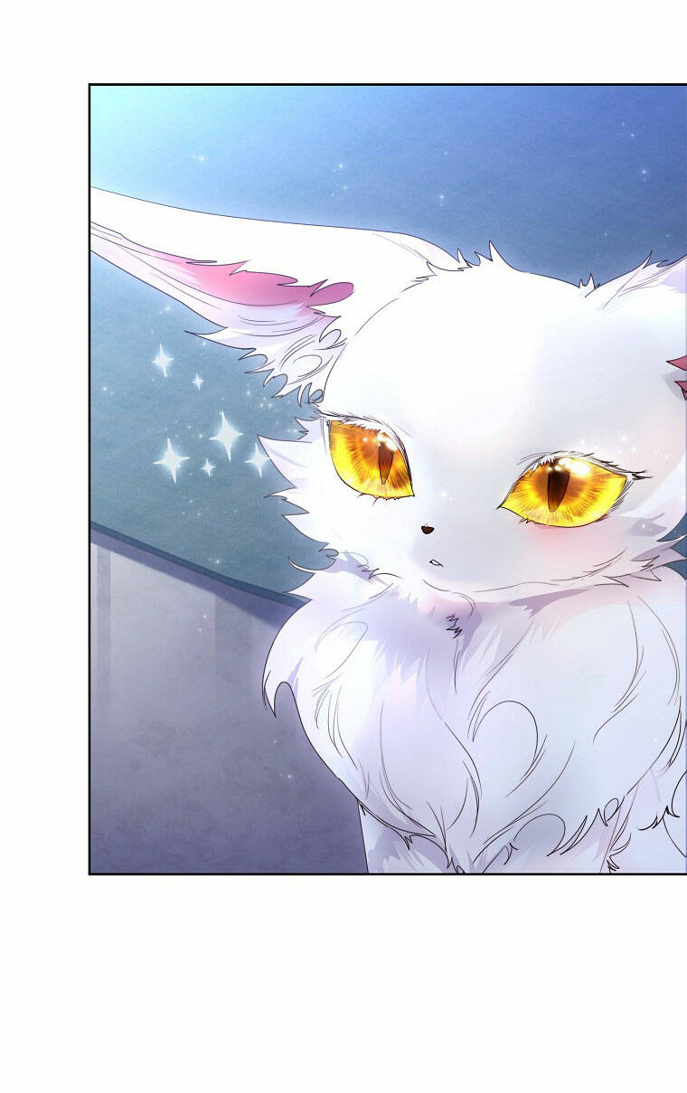 Tôi Đã Nuôi Hồ Ly Sai Cách Rồi Chapter 11.1 - Trang 2