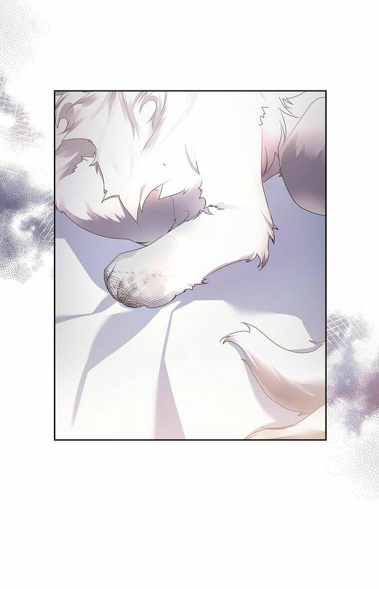 Tôi Đã Nuôi Hồ Ly Sai Cách Rồi Chapter 8.1 - Trang 2