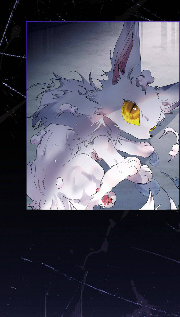 Tôi Đã Nuôi Hồ Ly Sai Cách Rồi Chapter 9.1 - Trang 2