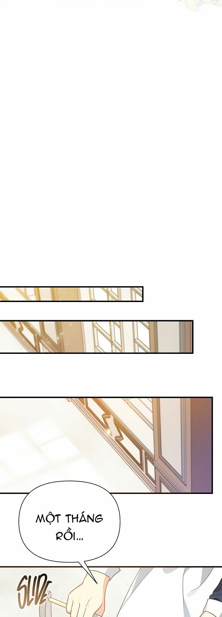 Tôi Đã Ở Đây Ngay Từ Đầu Chapter 23 - Trang 2