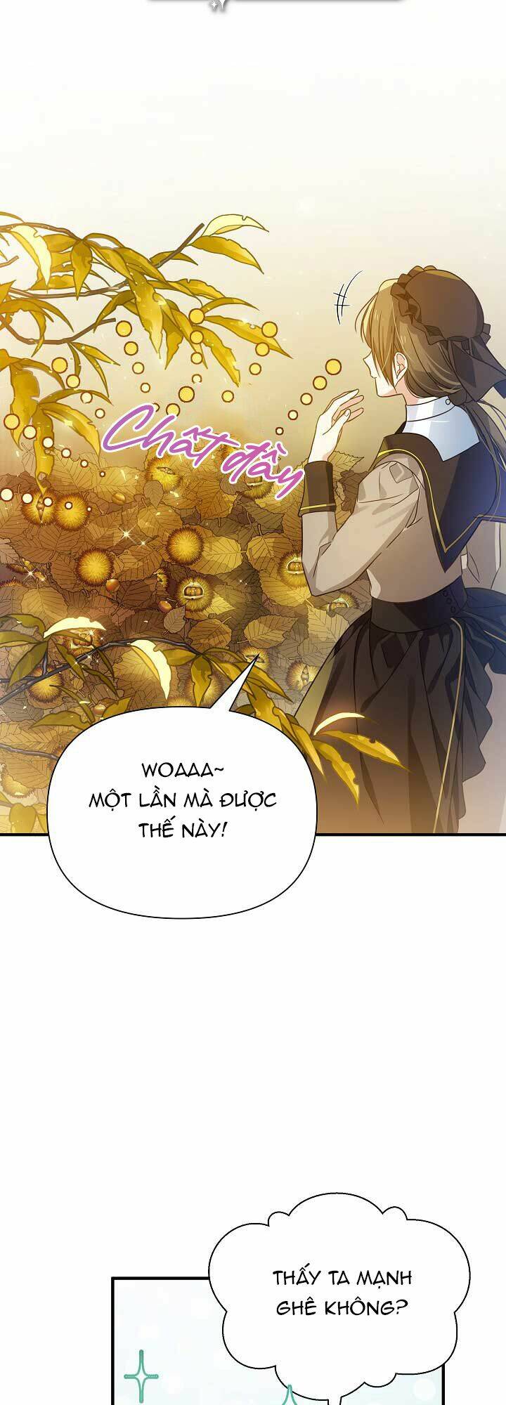 Tôi Đã Ở Đây Ngay Từ Đầu Chapter 36 - Trang 2