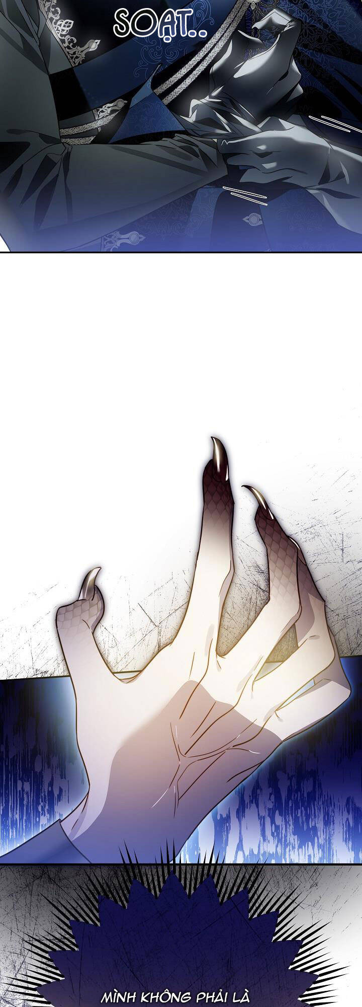 Tôi Đã Ở Đây Ngay Từ Đầu Chapter 61 - Trang 2