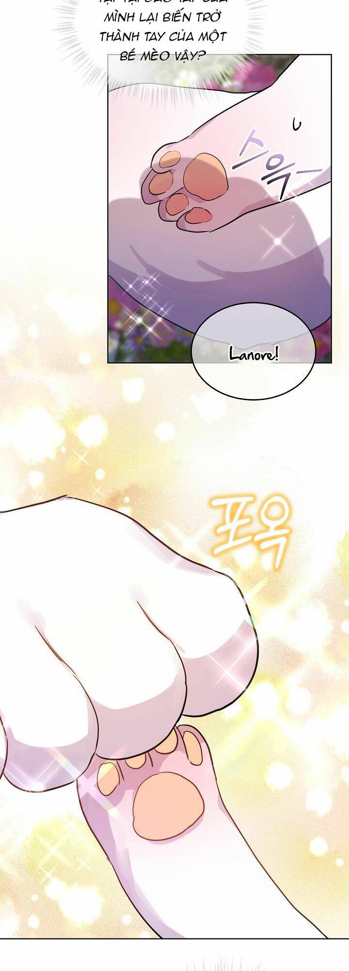 Tôi Đã Tái Sinh Thành Bé Cáo Của Thần Chapter 0 - Trang 2