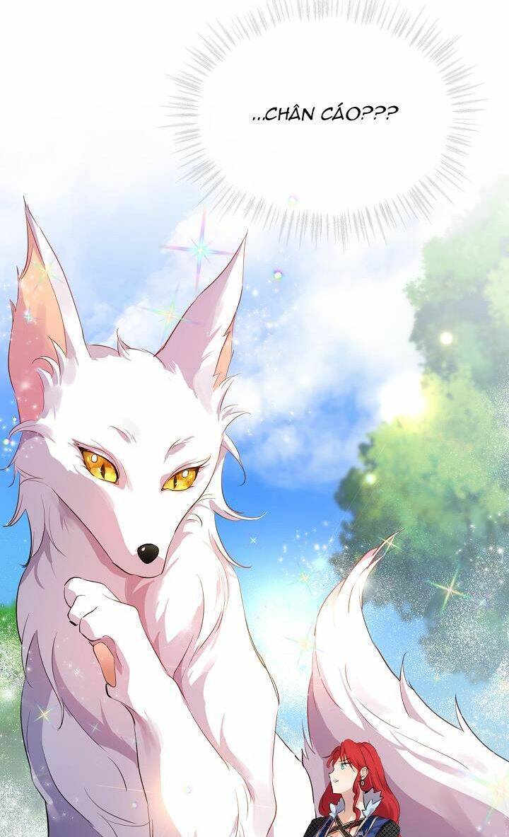 Tôi Đã Tái Sinh Thành Bé Cáo Của Thần Chapter 0 - Trang 2