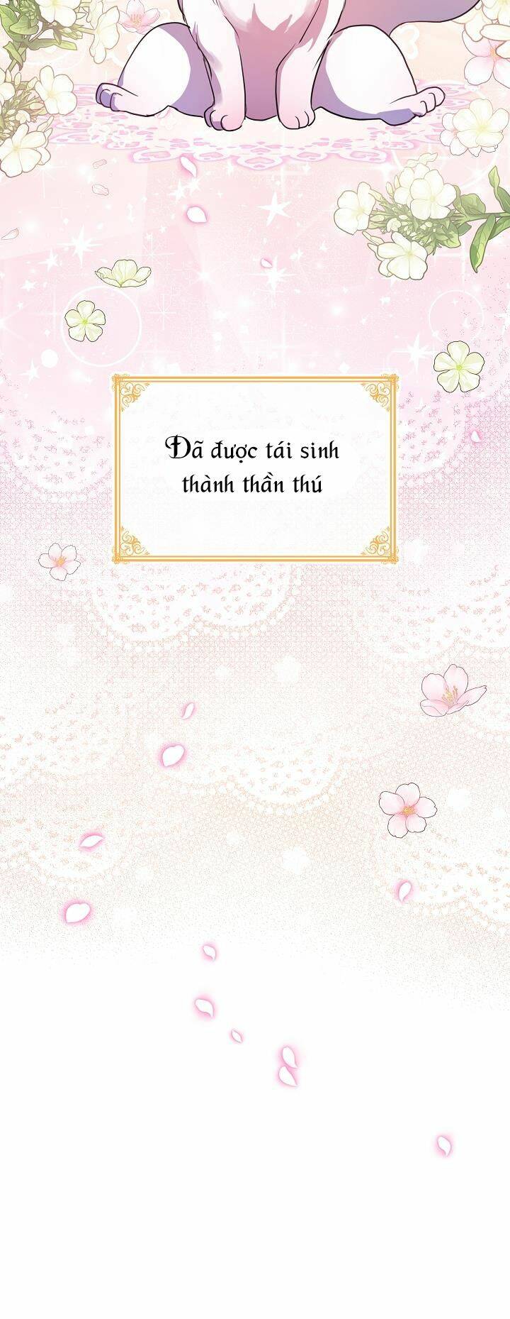 Tôi Đã Tái Sinh Thành Bé Cáo Của Thần Chapter 0 - Trang 2