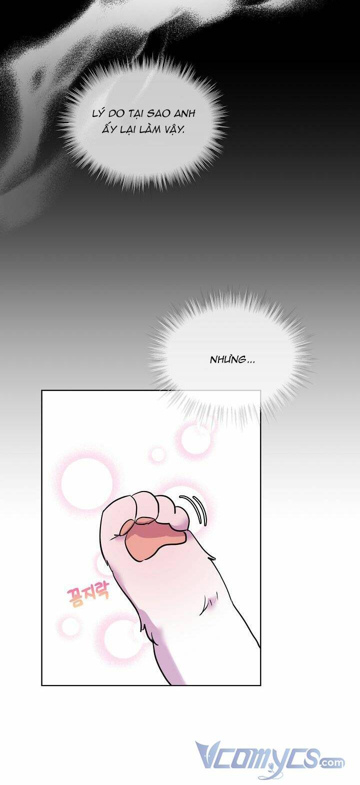 Tôi Đã Tái Sinh Thành Bé Cáo Của Thần Chapter 1 - Trang 2