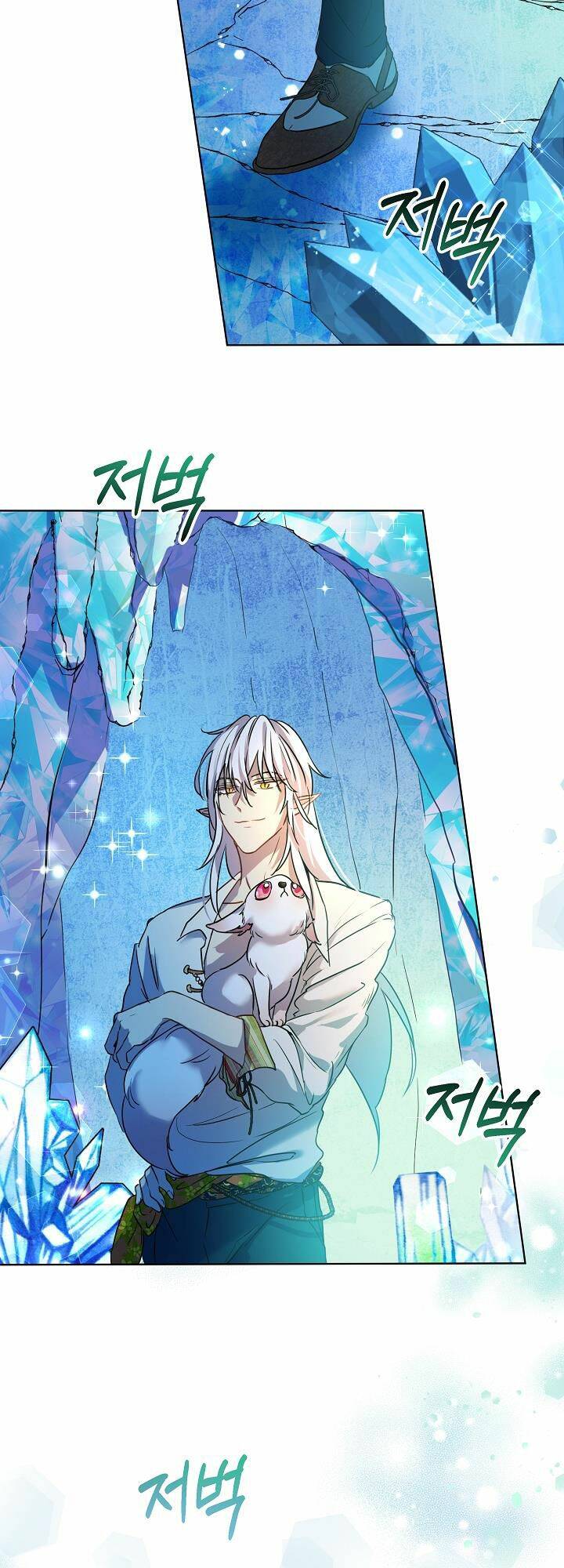 Tôi Đã Tái Sinh Thành Bé Cáo Của Thần Chapter 1 - Trang 2