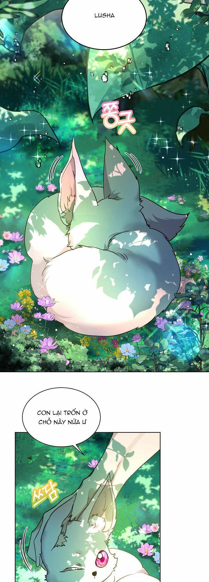 Tôi Đã Tái Sinh Thành Bé Cáo Của Thần Chapter 1 - Trang 2