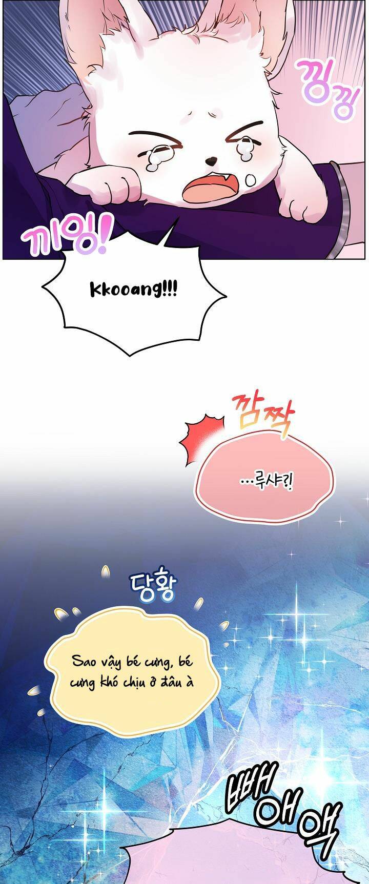 Tôi Đã Tái Sinh Thành Bé Cáo Của Thần Chapter 1 - Trang 2