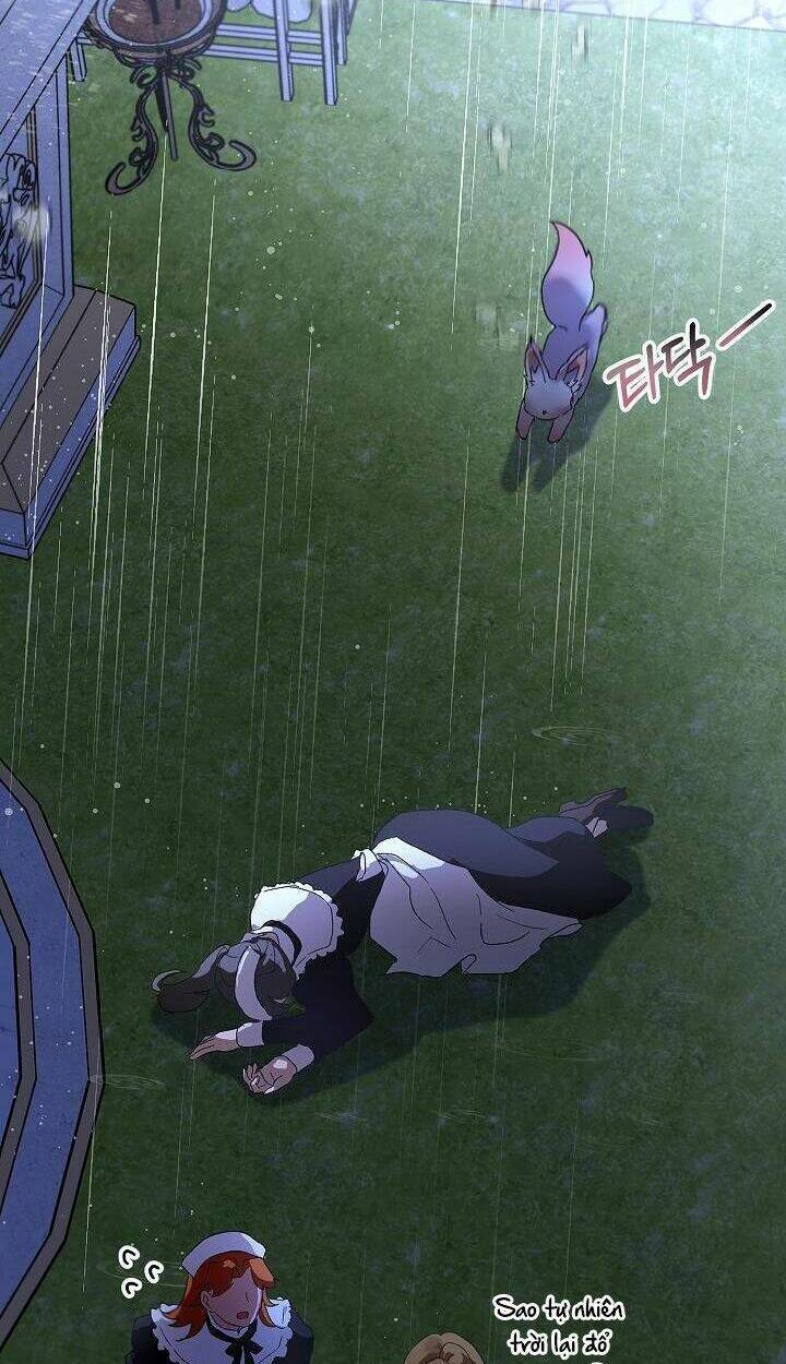 Tôi Đã Tái Sinh Thành Bé Cáo Của Thần Chapter 10 - Trang 2