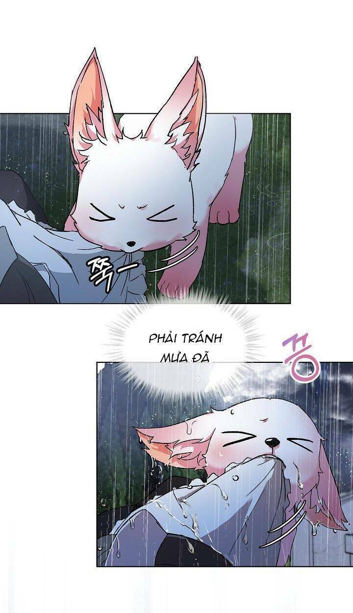 Tôi Đã Tái Sinh Thành Bé Cáo Của Thần Chapter 10 - Trang 2