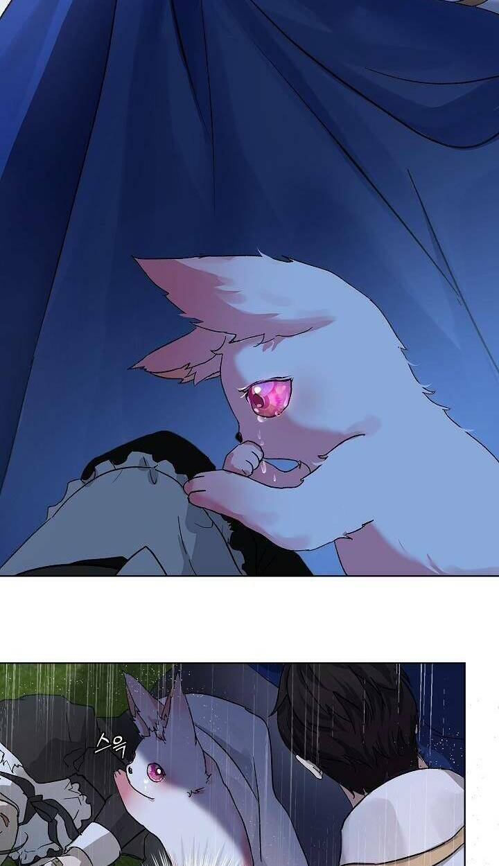 Tôi Đã Tái Sinh Thành Bé Cáo Của Thần Chapter 10 - Trang 2