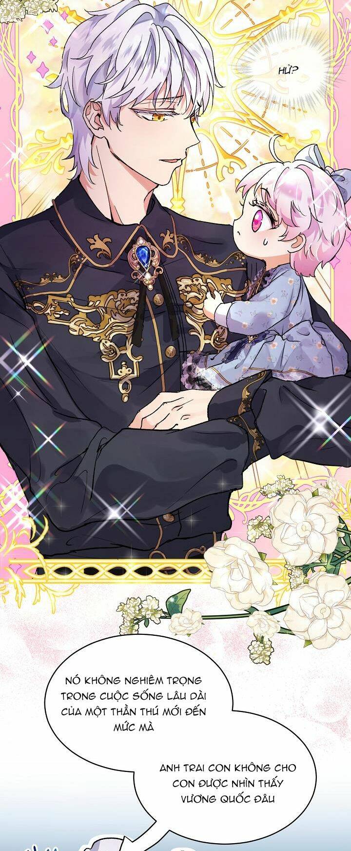 Tôi Đã Tái Sinh Thành Bé Cáo Của Thần Chapter 11 - Trang 2