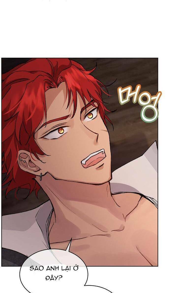 Tôi Đã Tái Sinh Thành Bé Cáo Của Thần Chapter 12 - Trang 2