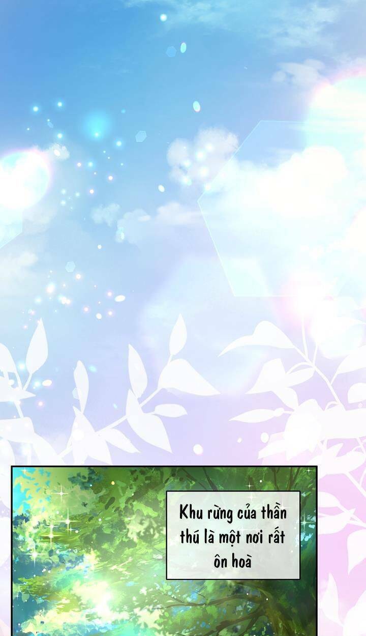 Tôi Đã Tái Sinh Thành Bé Cáo Của Thần Chapter 16 - Trang 2