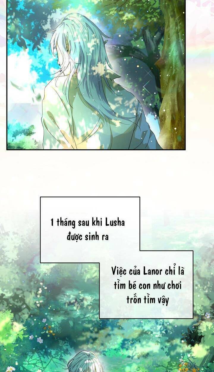 Tôi Đã Tái Sinh Thành Bé Cáo Của Thần Chapter 16 - Trang 2