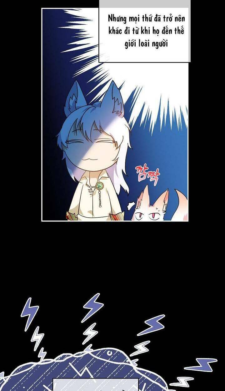 Tôi Đã Tái Sinh Thành Bé Cáo Của Thần Chapter 16 - Trang 2